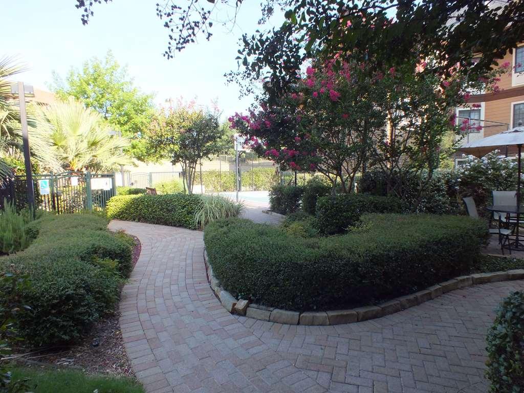 Sonesta Es Dallas - Colinas Hotel 3*